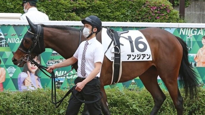 【アンジアン】430kgまで回復し乗り込み再開