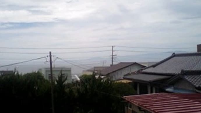 日帰り大島出張♪♪