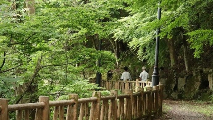 お初の出会いは、ノコギリクワガタ