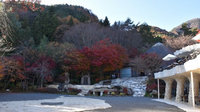 もみじ狩り　山梨県富士河口湖町　第22回富士河口湖紅葉まつり（8）もみじ回廊上流