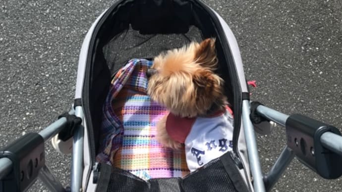 動物病院