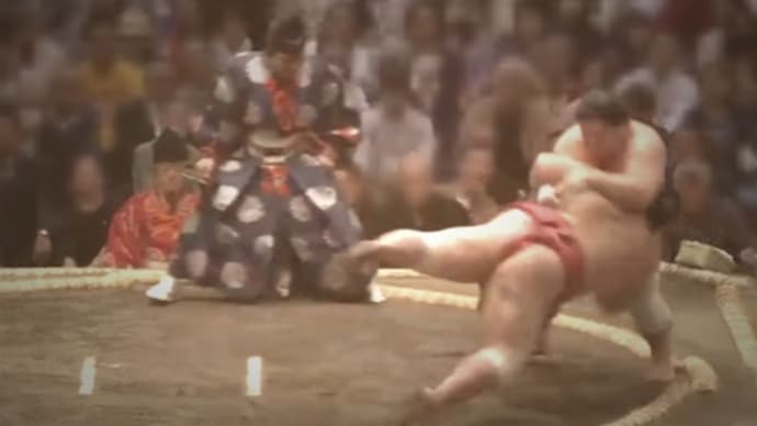 波乱の五月場所を戦い切るのは誰だ。