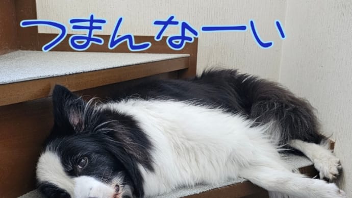 運動するとハッピーがやってくる