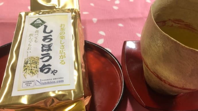 浮月楼の七夕茶会のしろぼうちゃ発見