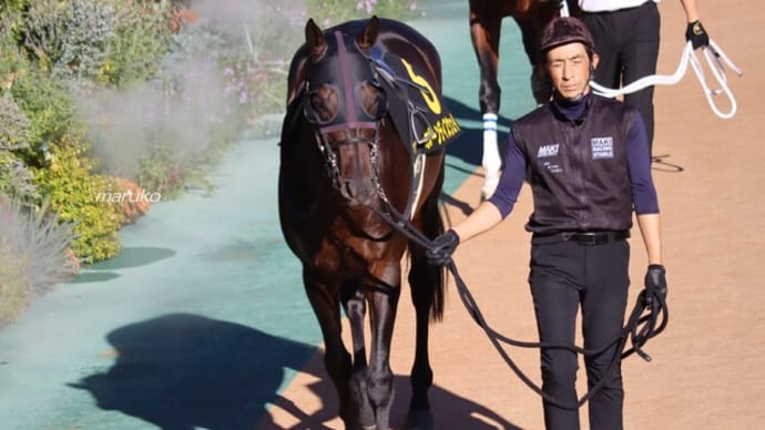 秋競馬2024-14