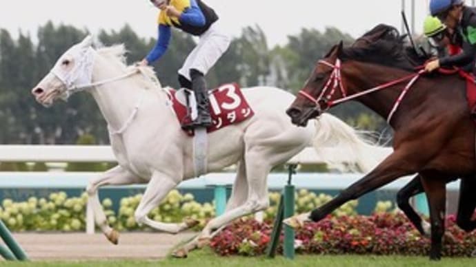 「白き女王」ソダシが札幌に凱旋!「九州の星」ヨカヨカも小倉で重賞勝ち!