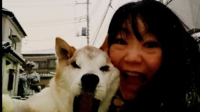 雪とPR映像♪