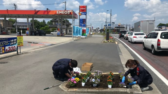 久しぶりの投稿です。