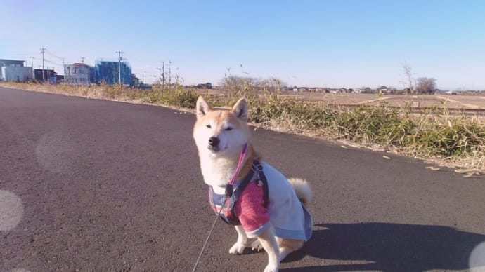 原因判明。