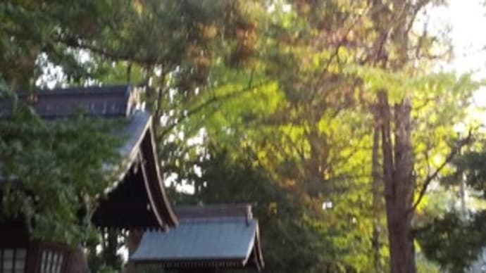 即位の礼
