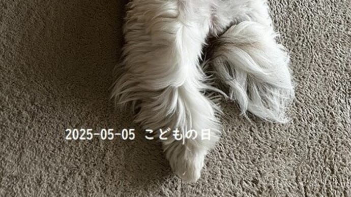 5歳10か月