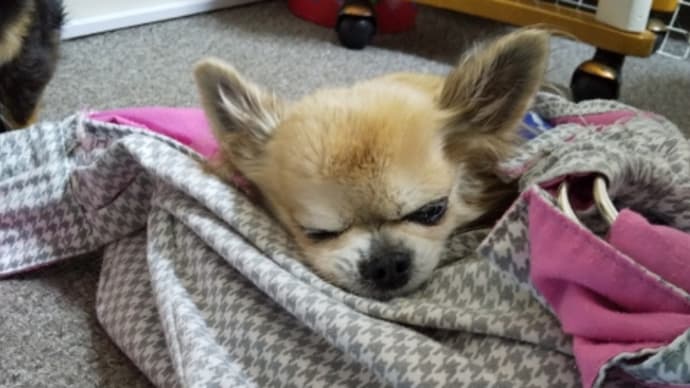 一進一退で、トホホ