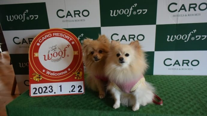 山中湖 Woofで遊ぶ