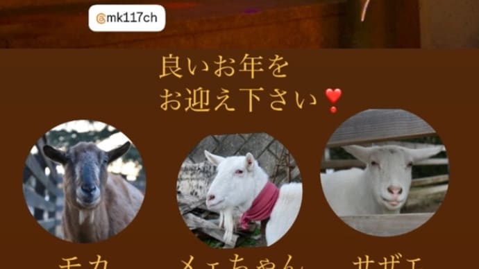 今年もお世話になりました🙇♀️