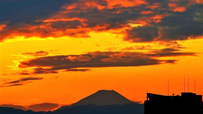 👼🐉大都会・東京の神々しい【夕焼け】光景❢❢