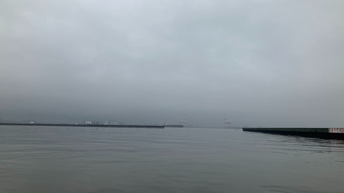 今年の濁り方は異常だな・・・ 東京湾 中深海便 2023/6/12