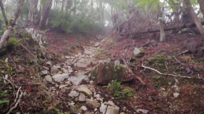 比良山堂満岳へ 下山
