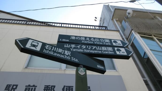 港の見える丘公園 バラ偵察