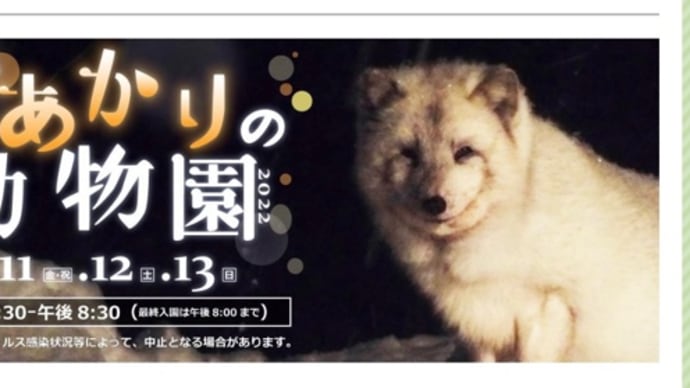 雪あかりの動物園