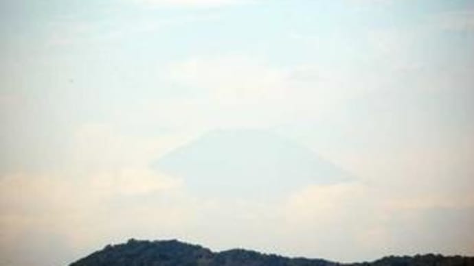 昼頃から曇りが続いた1日