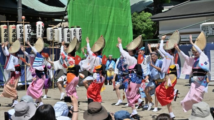 トミーの写真散歩!