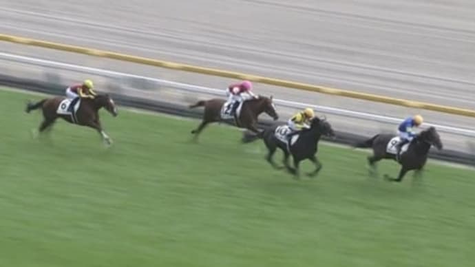 東京スポーツ杯2歳Sを考えておく。