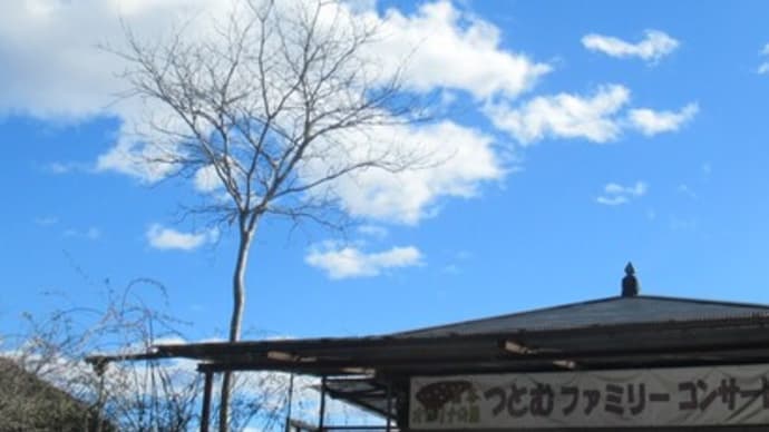 '24.01.27 野濱さんご夫妻が来てオカリナの練習?