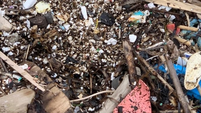 プラスチックの影響