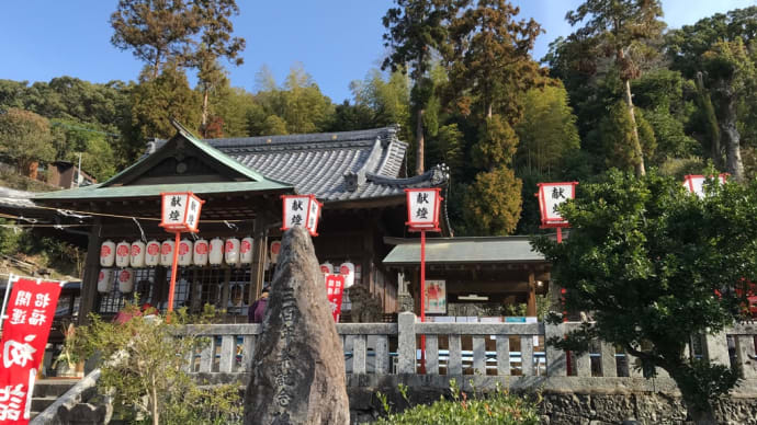 八坂神社 初詣