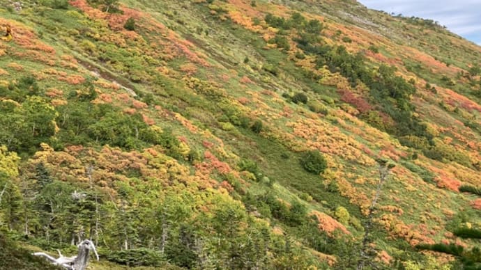 大雪山赤岳2078m 2023/9/21