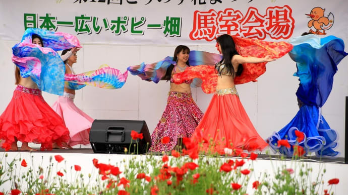 花まつりポピー畑にて「ベリーダンス&撮影会」