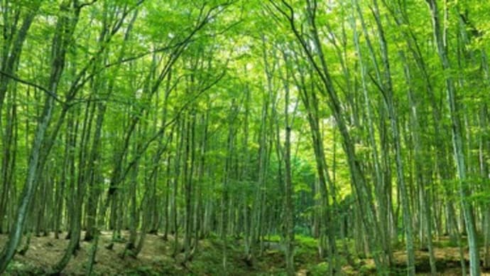 新潟十日町の旅♪