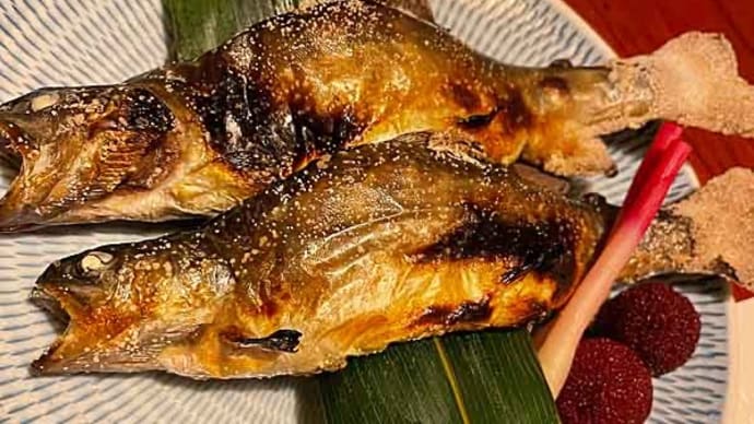 白骨温泉旅行!④ 泡の湯の晩飯堪能!