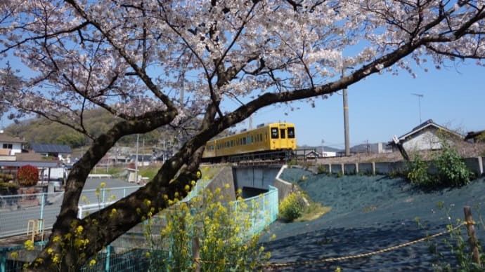 2019年安頓の総集編4月~6月どんなことしてた?