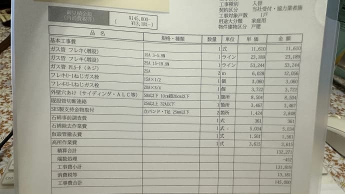 これは痛い出費だ!