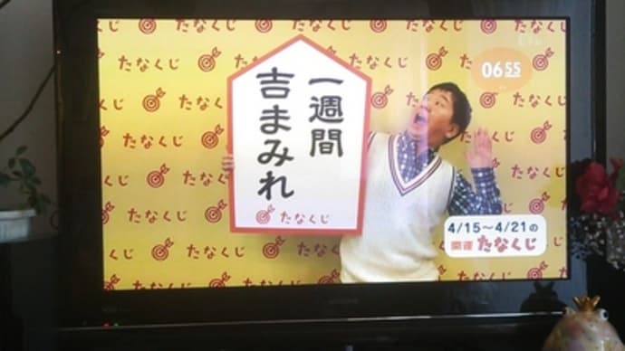 今週のmyたなくじ