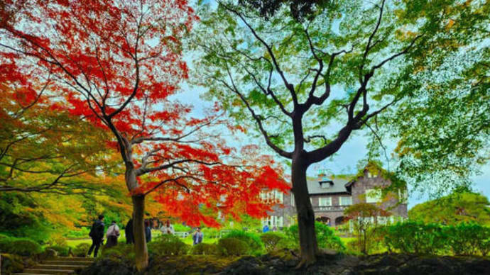 東京都旧古河庭園の「紅葉とバラと和と洋の秋」2023年11月　日（　）