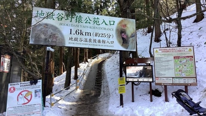 地獄谷野猿公苑 / スノーモンキー（長野県下高井郡山ノ内町）