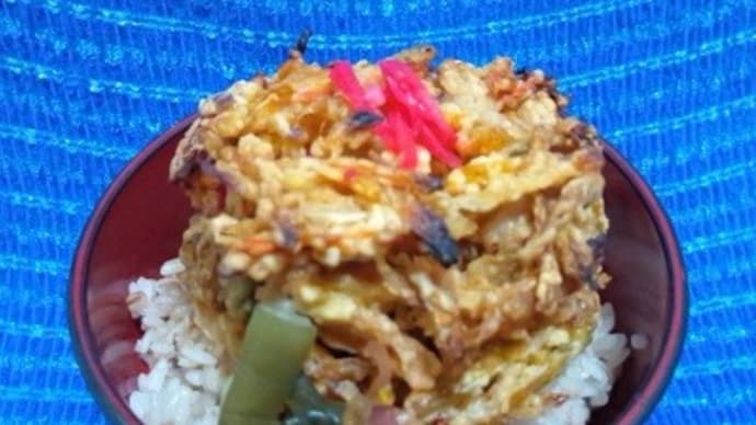 五目かき揚げなお総菜で朝食、そして二度寝してたんだね:P