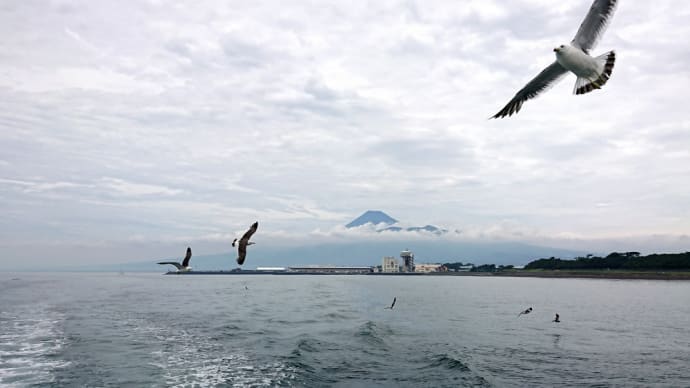 せっかく来たんだから、沼津港をプチ観光・・・ ☆もちろん、目的はパルセイロの応援です!