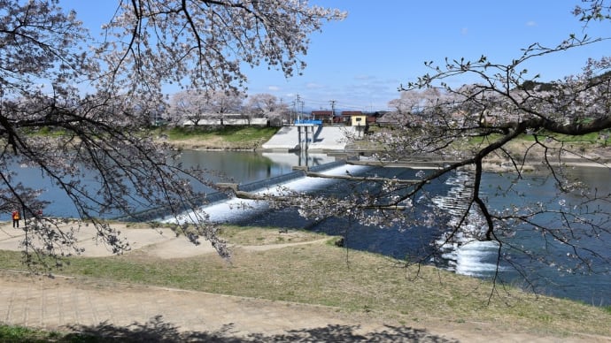 さくら狩り 宮城県柴田郡大河原町(7)JR東北本線 仙台行き来たぁ~