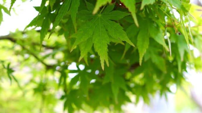 【4月15の言葉】目標を達成させる三つの言葉