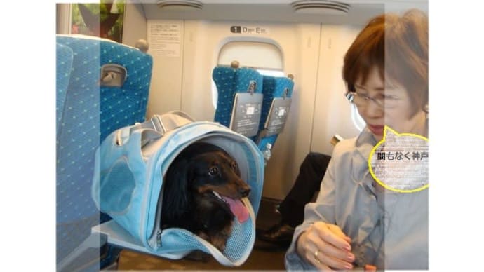 寒くなって来たねぇ‥