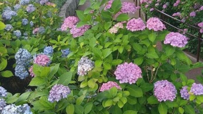 季節に逆らわず…調える