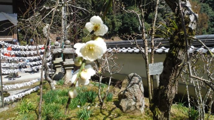 生駒山上遊園地と宝山寺