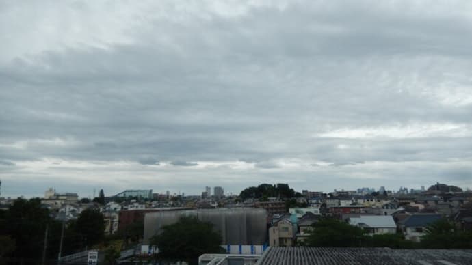 5月になって