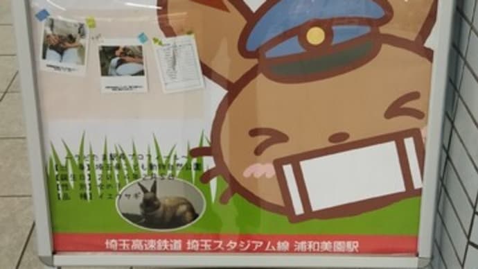 平日ですが七夕らしいので。