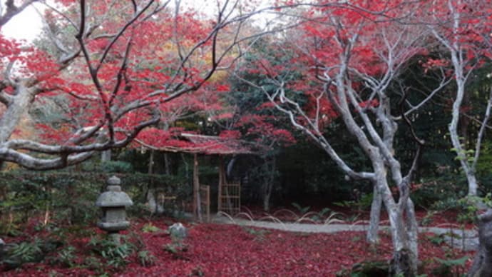 2013年愛宕道・厭離庵の紅葉、再び！　＠　京都妖怪探訪（３２３）