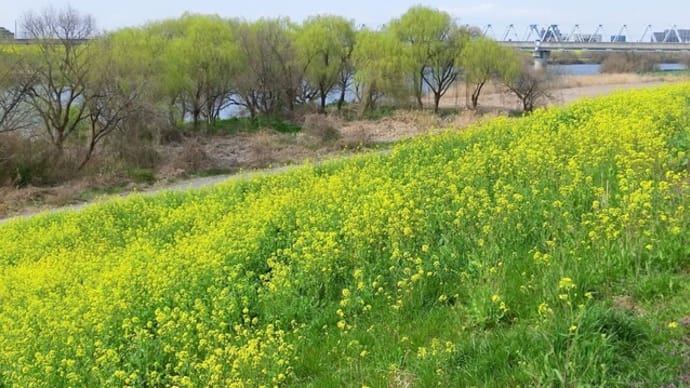 ここは海から25km