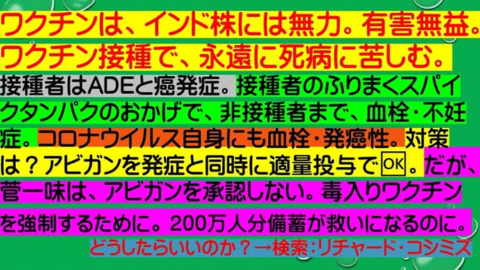 フライヤー：ワクチン接種で、永遠に死病に苦しむ。